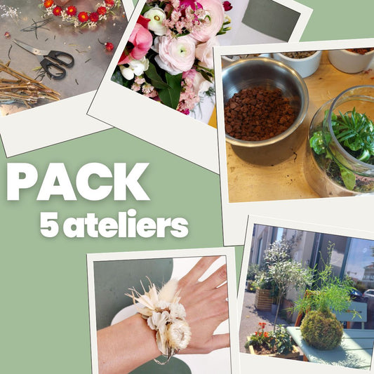 Pack 5 ateliers