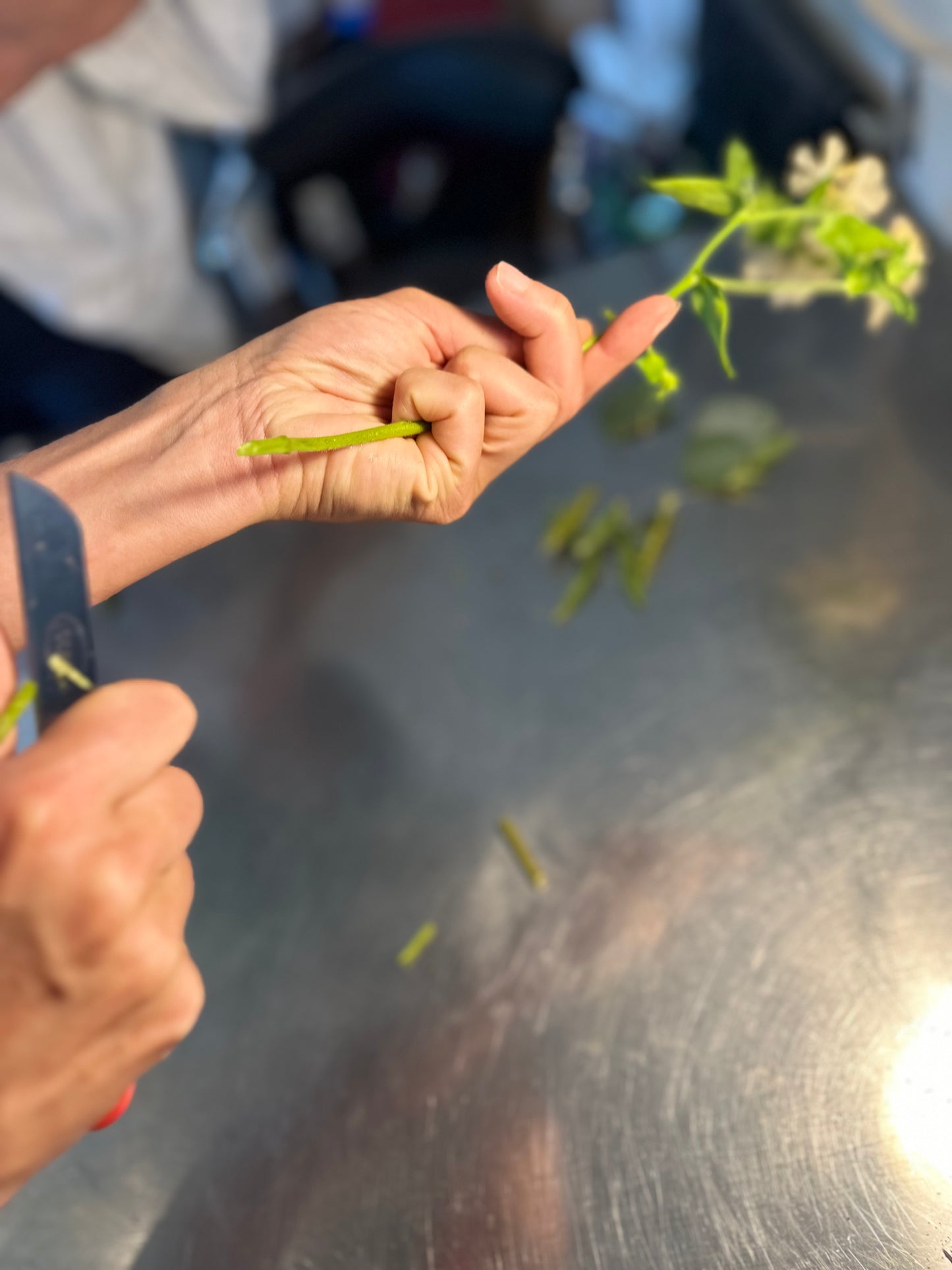 Atelier Bouquet de fleurs