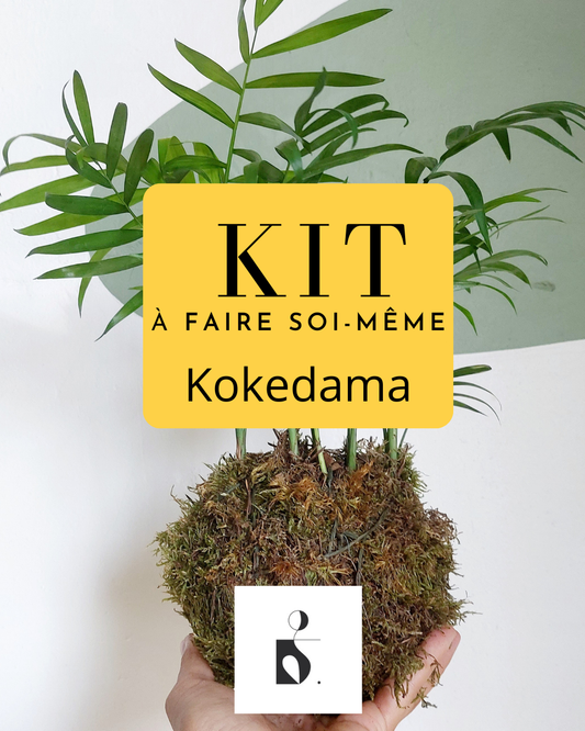 Kit Kokedama